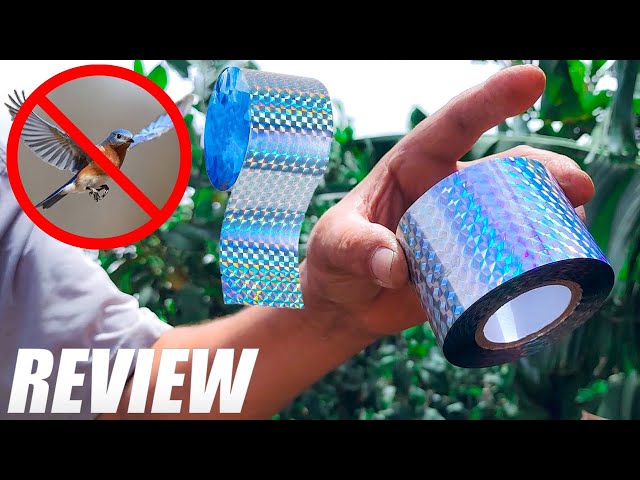 Bird Reflective Tape 480, 640 Bird Repellent Scare Tape - Reflective Tape Outdoor Unboxing and Review -  YouTube