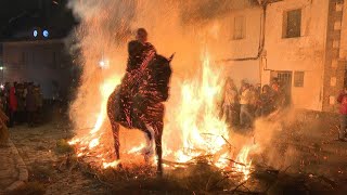 Spanish village "purifies" horses with fire in age-old ritual | AFP