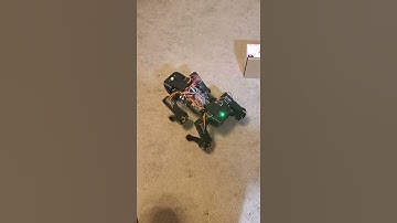 Quadruped Robot Dog "Quaddy"