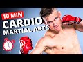 10-MIN MARTIAL ARTS CARDIO WORKOUT (FOLLOW ALONG!)