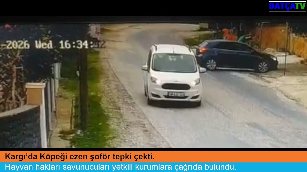 Kargı’da Köpeği ezen şoför tepki çekti.