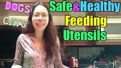 Healthy Feeding Tips & Tools