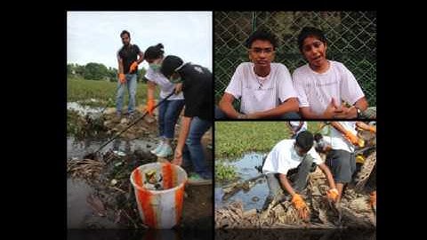 Environmentalist Foundation of India An Overview