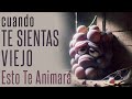 Los Alimentos Viejos | Cuentos de autoestima que te cambian la vida