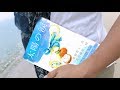 太陽の涙PV