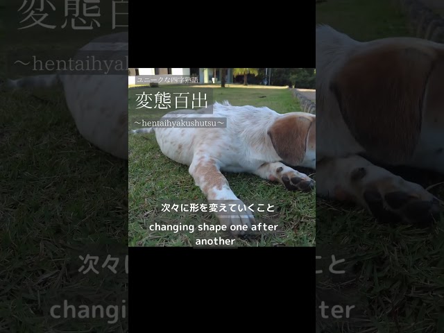 変態百出NEW!