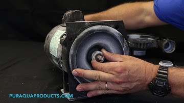 How to Change a Webtrol pump Seal on an Accu-Tab Chlorination System