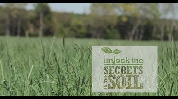 The Science of Soil Health: Mimicking Nature in the Lab