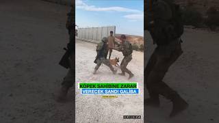 Köpek Saldırınca Askerin Aklı Gitti
