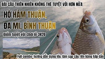 Điểm chơi lễ câu cá, săn hàng cắm trại tuyệt vời | Hồ Hàm Thuận, Đa Mi, Bình Thuận #youfun #cauca