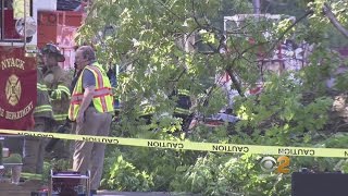 Man Killed When Tree Falls On Car In Nyack