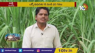 చెరుకు సాగులో ఆదర్శ రైతు | Ideal Farmer in Sugarcane Cultivation | Matti Manishi | 10TV News
