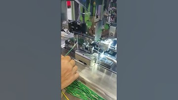 Stripping and Terminal Crimping and Sealing machine#machine #cable #factory