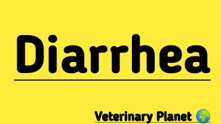 Diarrhea | Diarrhea Treatment in Cattle | Most effective treatment of Diarrhea