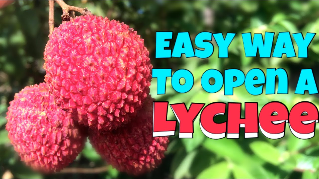 Easy way to open a Lychee YouTube