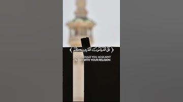 🎧 ايه من سورة الحجرات 🤍