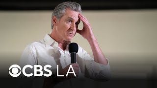 Newsom forms California panel to study kill switch for AI, new safety regulations