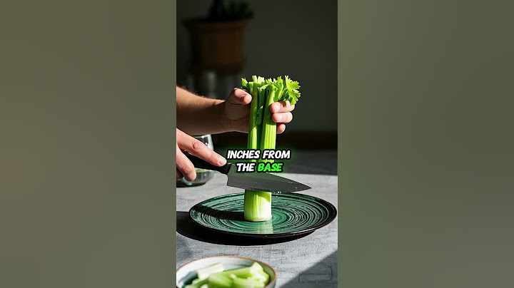 How to Regrow Celery Indoors from Scraps 🥬 | No Soil, No Waste | Scrap to Sprout