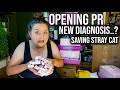 OPENING TONS OF MAKEUP PR &amp; CHATTING! SAVING A DYING KITTY, NEW HEAD DIAGNOSIS &amp; MORE!