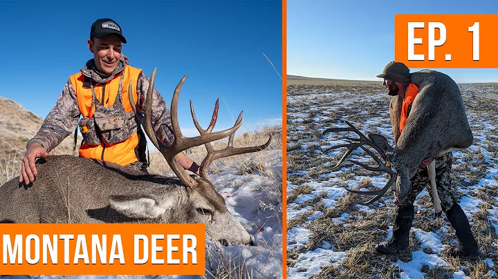 RUTTING BUCKS on Public Land | Montana Deer (EP. 1)