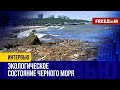 Международный день Чёрного моря. Как агрессия РФ изменила экологическое состояние (2023) Новости