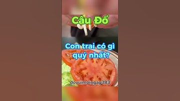 Câu đố vui  #dovui #dovuimoingay #caudohay #caudothongminh #caudovui