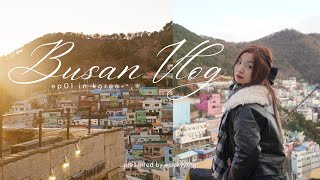 winter in Korea ep01🇰🇷⋆⁺₊❅. | train to BUSAN, cafes hopping, shopping & seafoods!🤍 [NICKY'S TRAVEL]