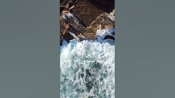 القرآن الكريم (سورة الكافرون) كاملة بصوت الشيخ ماهر المعيقلي