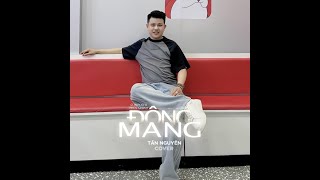 PHÚC CHINH | ĐÔNG MANG | TẤN NGUYÊN COVER | LYRIC VIDEO