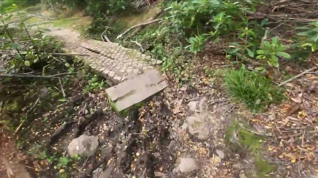 Sendero Histórico Faro San Isidro - Bahía el Águila Trail Running