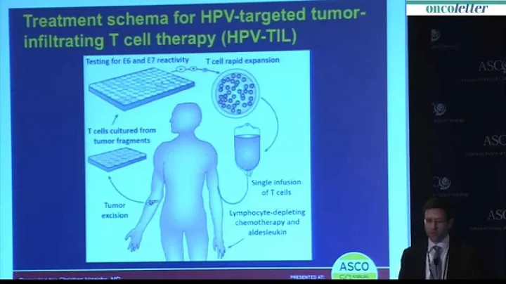 Christian S. Hinrichs, et al. HPV-targeted tumor-infiltrati...  lymphocytes for cervical cancer.