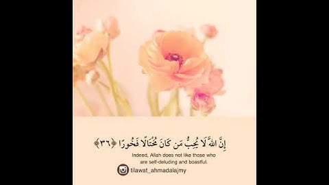 أحمدالعجمي سورة النساء