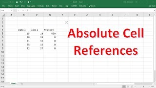 How To Use Relative & Absolute Cell References In Excel