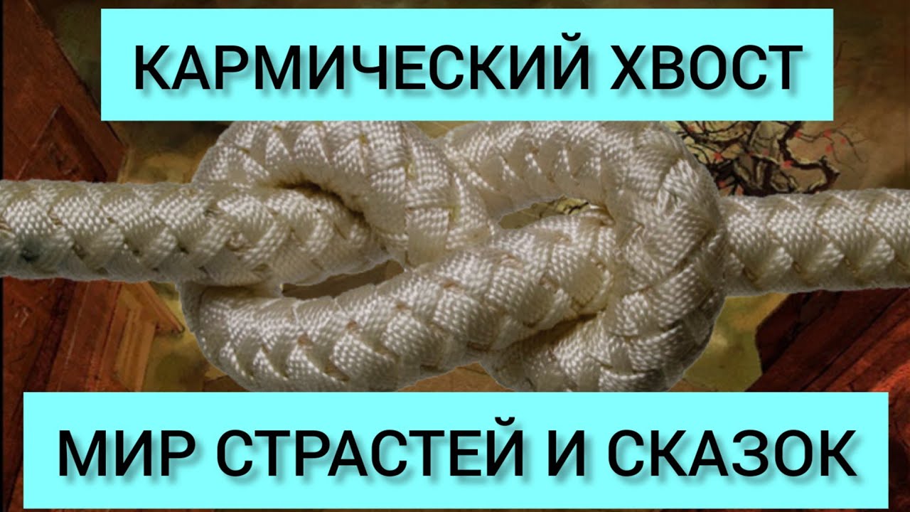 18 6 15 кармический хвост в матрице. Кармический хвост 9 15 6. Кармический хвост 9 9 9. Бунтарь кармический хвост. 9 15 6 Кармический хвост матрица.