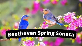 Father & Son Duet - Beethoven Spring Sonata