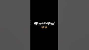 #تلاوة_خاشعة #تلاوة_هادئة #خواتيم_سورة_المؤمنون #سورة_المؤمنون #اسلام_صبحي #تلاوة_نادرة_لاول_مرة