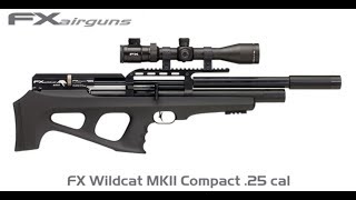 fx wildcat MKII compact 25 espanol ( subtitulos ingles )
