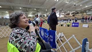 Monday 3/11/24 Pt 9  Franklin Tennessee Dog Show