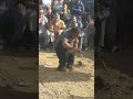 وين يروح مزهيهة وين يروح مزهيهة