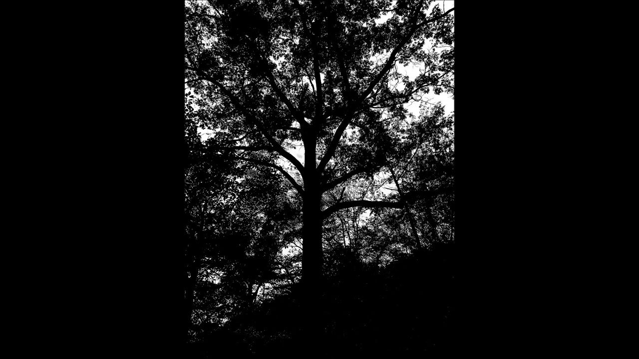 Music from the motion picture-Afraid