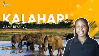 Explore The Spectacular Central Kalahari Game Reserve