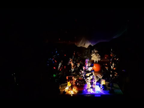 შეხვედრა 2022 წელთან