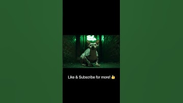 This cat has seen a glitch in the Matrix... 🐈‍⬛ #Shorts