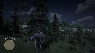 RDR2 Falling through map