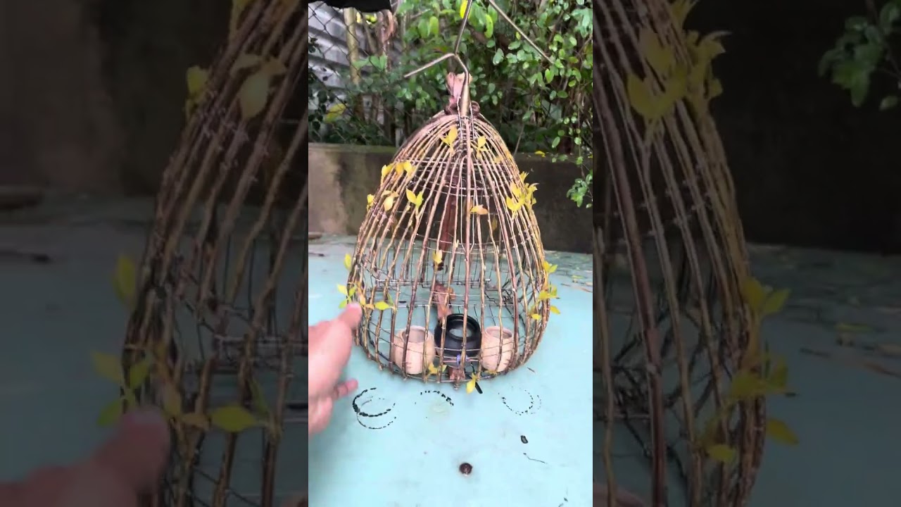 Lụp bẫy chim cu gáy : 0926671234