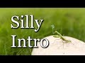 Copyright Free Music Silly Intro Serpent Sound Studios Comedy Copyright Free Music Silly Intro Serpent Sound Studios Comedy