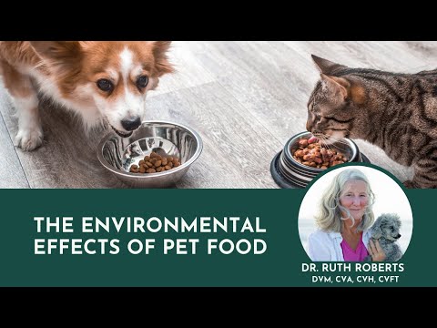 The Environmental Effects of Pet Food | What&rsquo;s The Most Sustainable Dog Food?