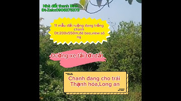11 mẫu đất ruộng đang trồng chanh ,thạnh hóa,Long an.giá 12 tỷ