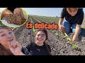 ACLARAMOS SUS DUDAS ASÍ NOS SALIÓ El FRIJOL | LAS DOS CARNALAS EN EL RANCHO