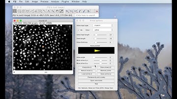 Tutorial: Fiji plugin for annotating movies with custom arrows